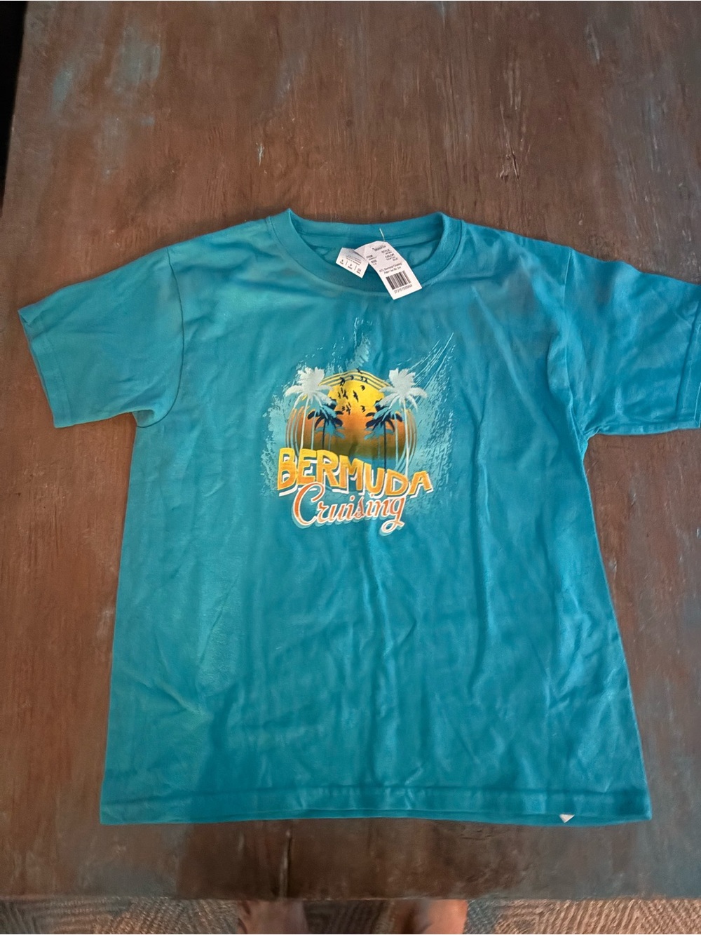 Gildan Tropical Blue Crew Neck Sweater. 
Size Youth S